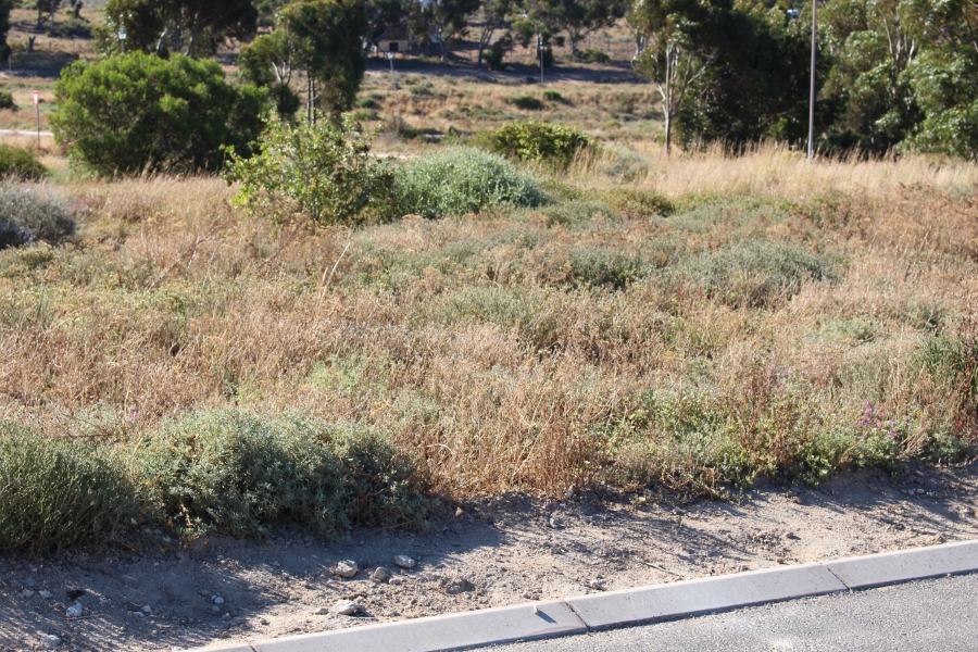 0 Bedroom Property for Sale in St Helena Views Western Cape